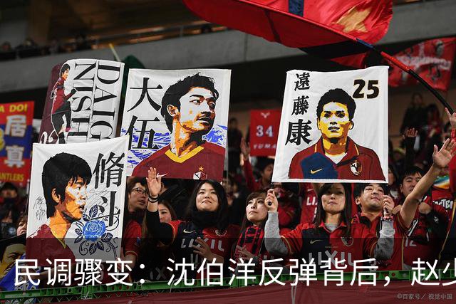 民调骤变：沈伯洋反弹背后，赵少康成关键推手